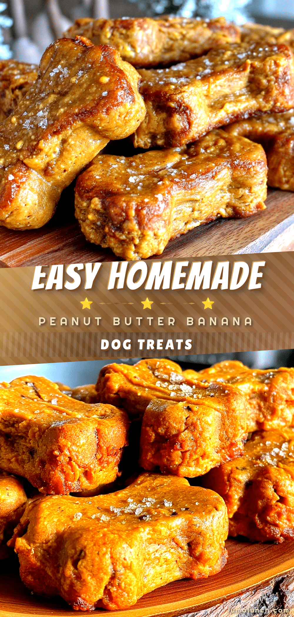 peanut butter banana dog treats recipe