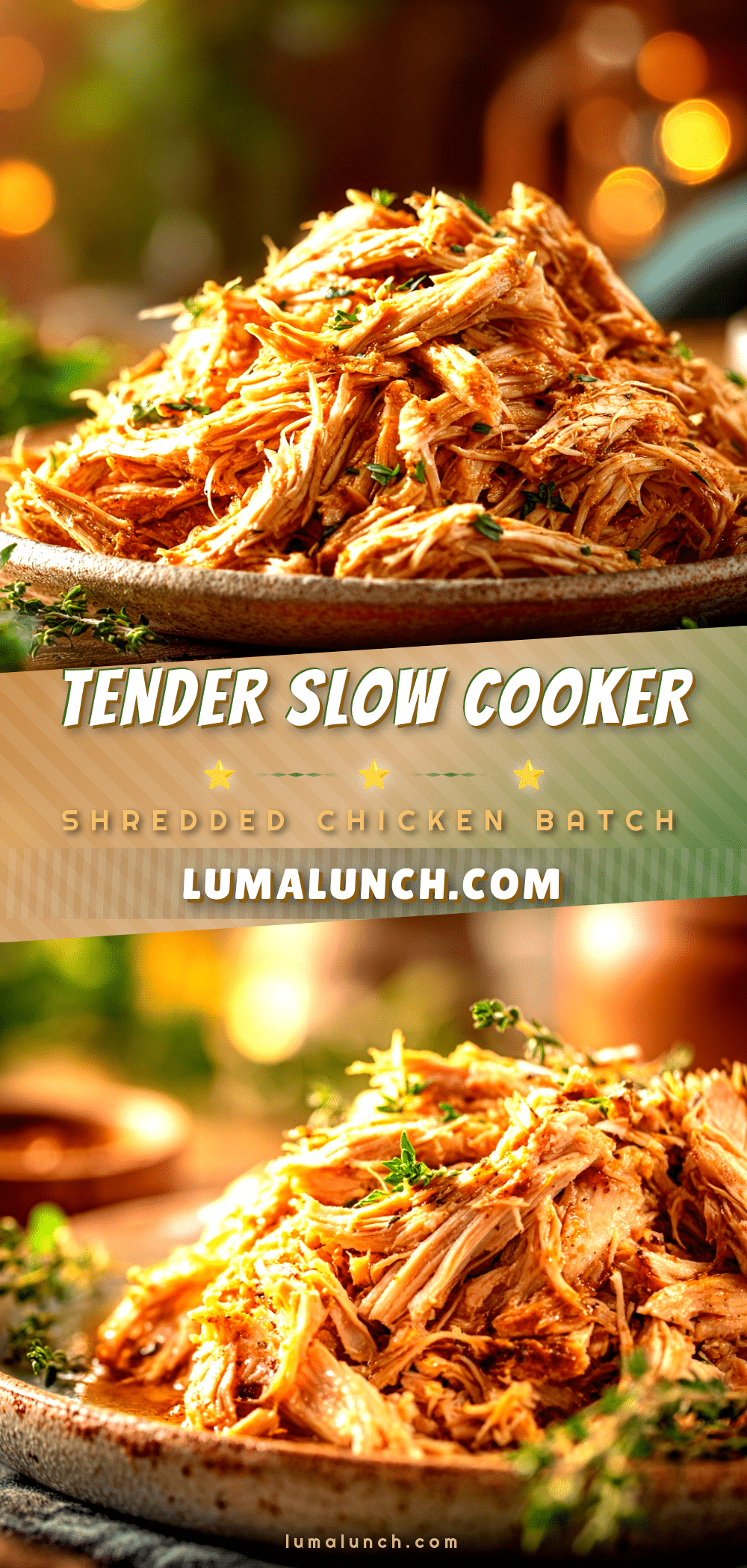 slow cooker shredded chicken recipe