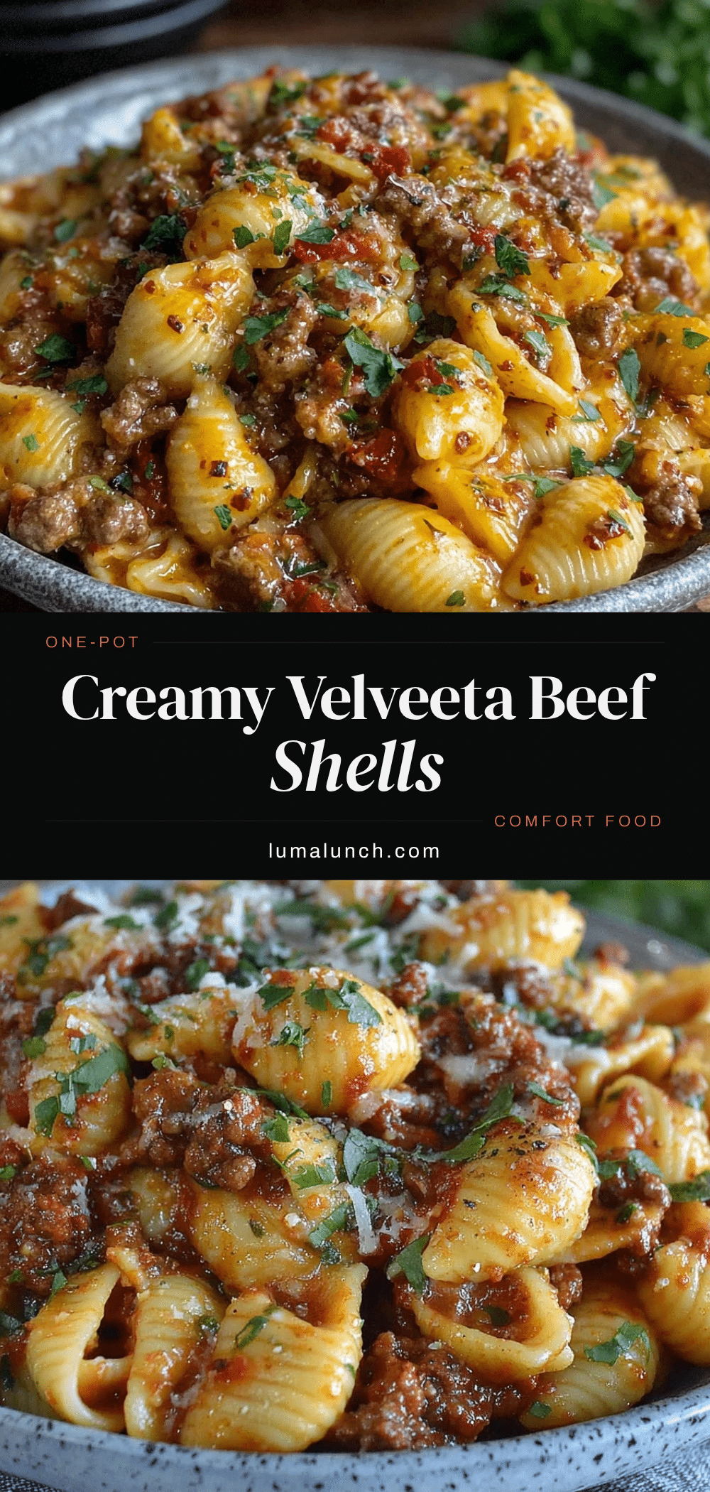 creamy velveeta beef and shell pasta recipe