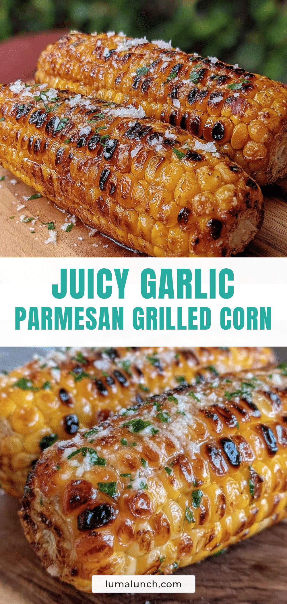 grilled corn on the cob with garlic parmesan butter recipe