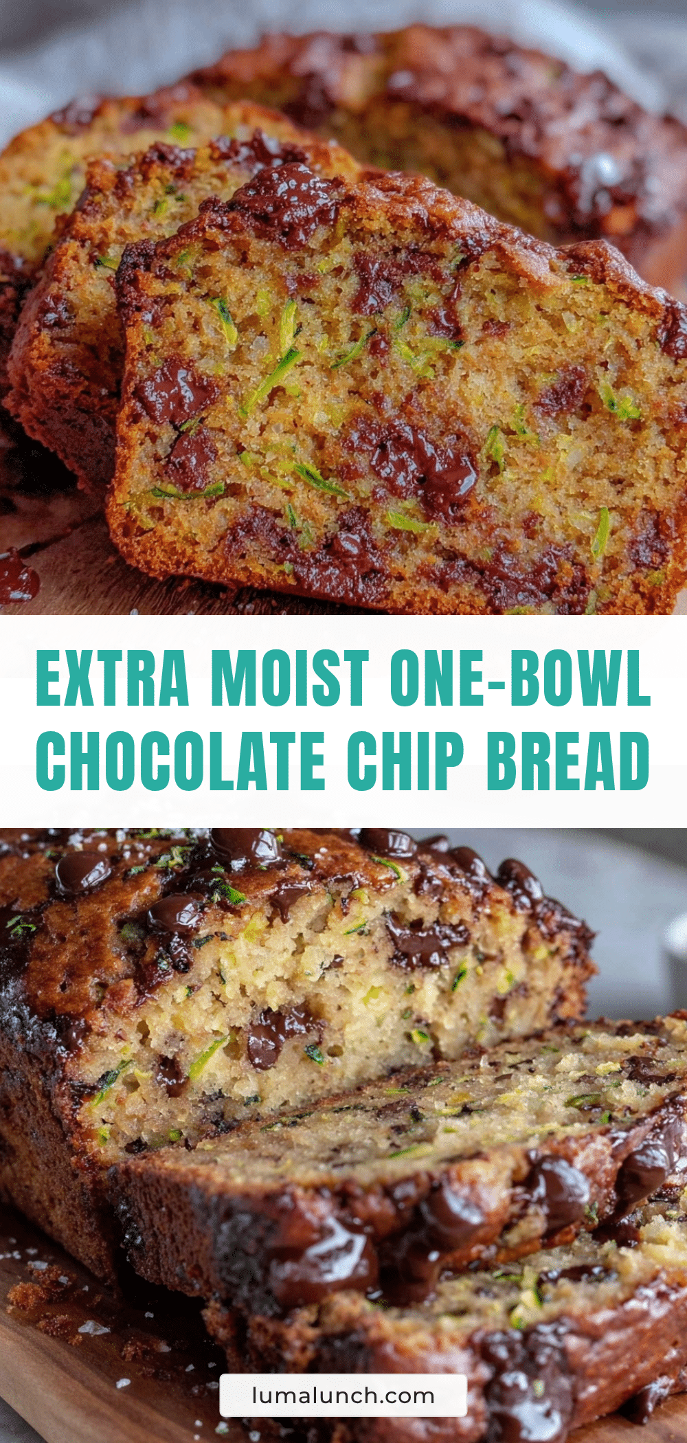 moist one-bowl chocolate chip zucchini bread recipe