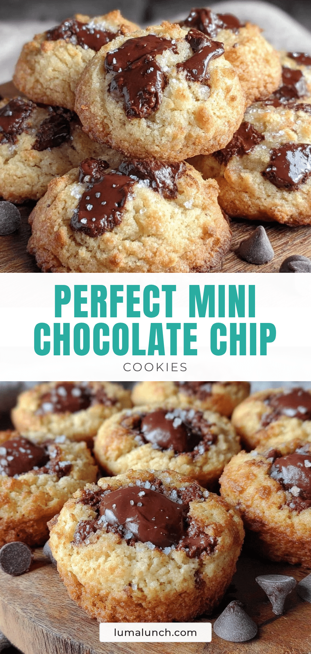 small-batch chocolate chip cookies for two recipe