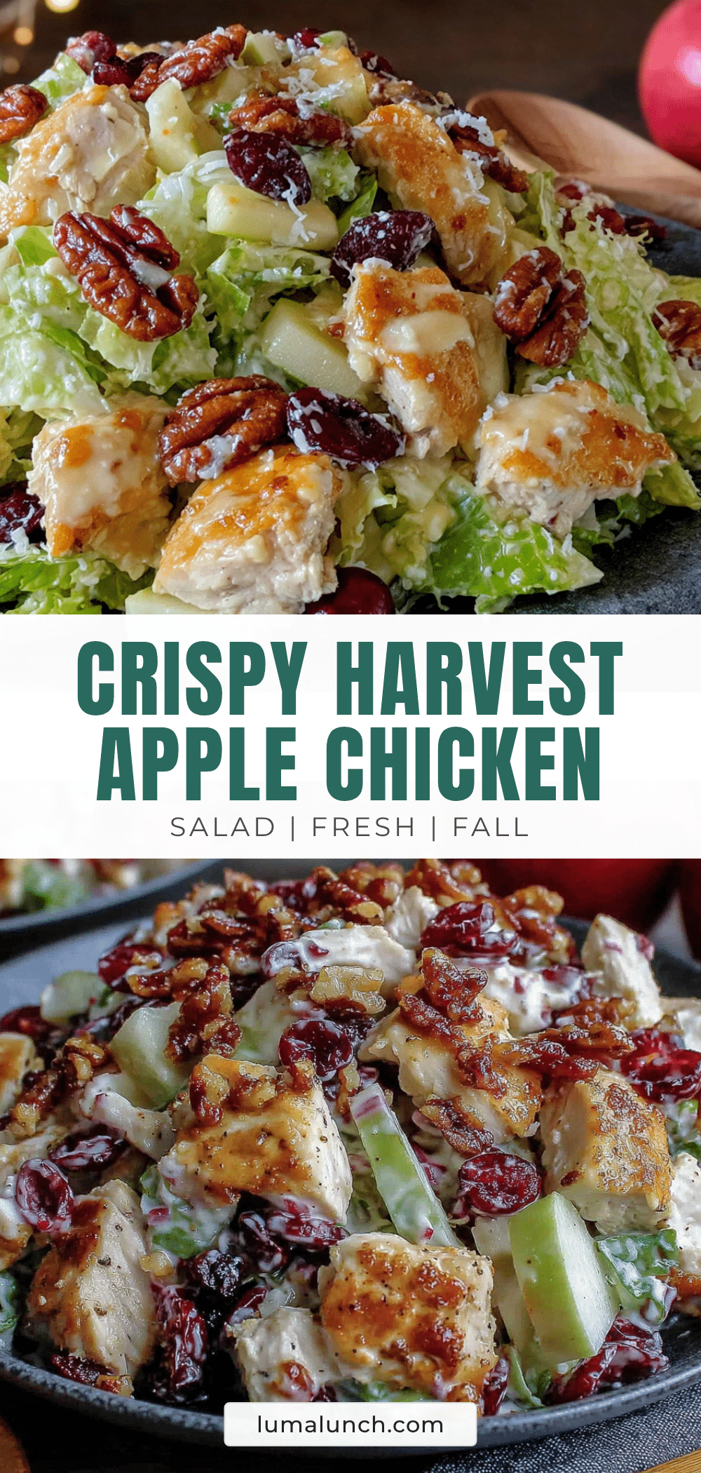 apple chicken salad recipe