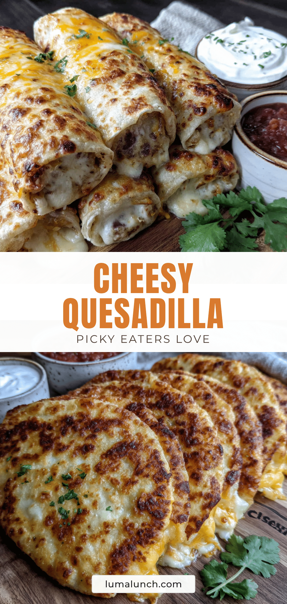easy cheese quesadilla dippers for picky eaters recipe