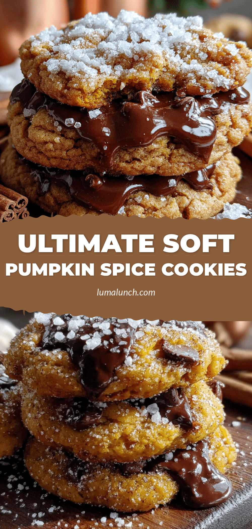 pumpkin chocolate chip cookies recipe