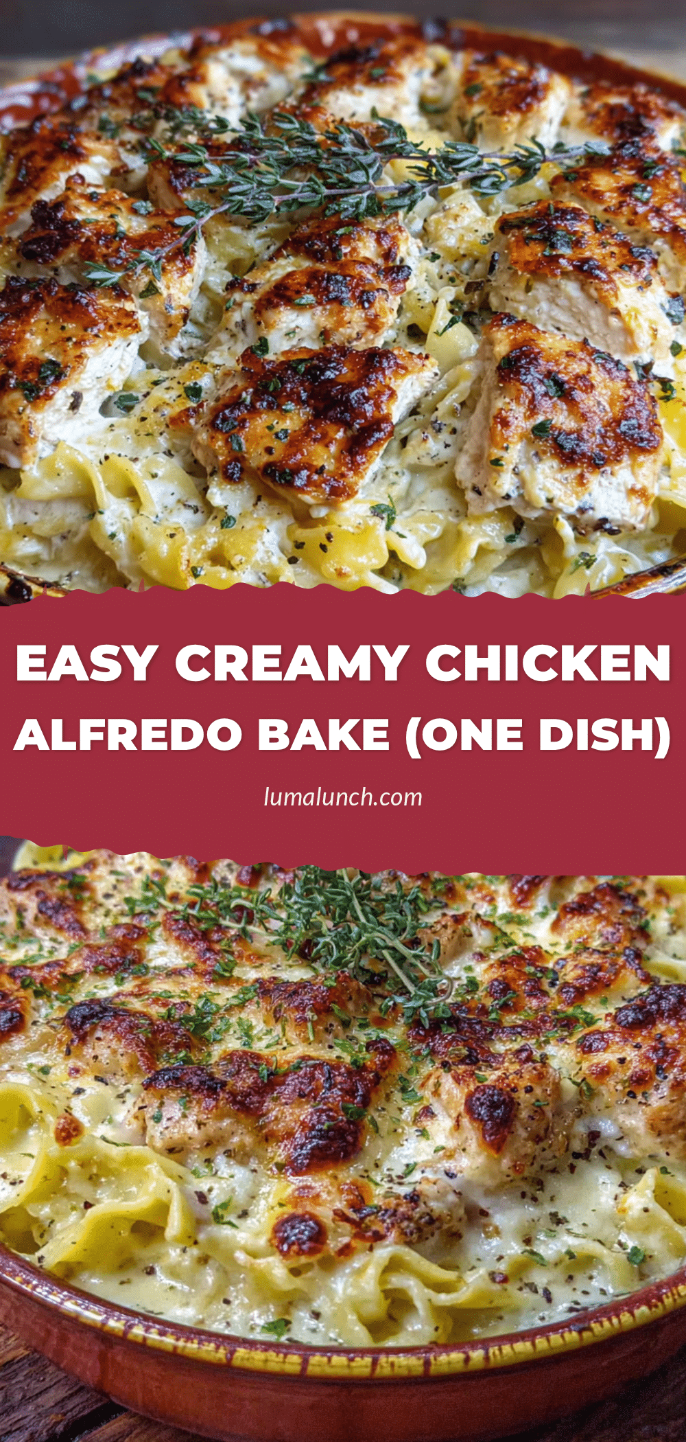 creamy chicken alfredo bake recipe