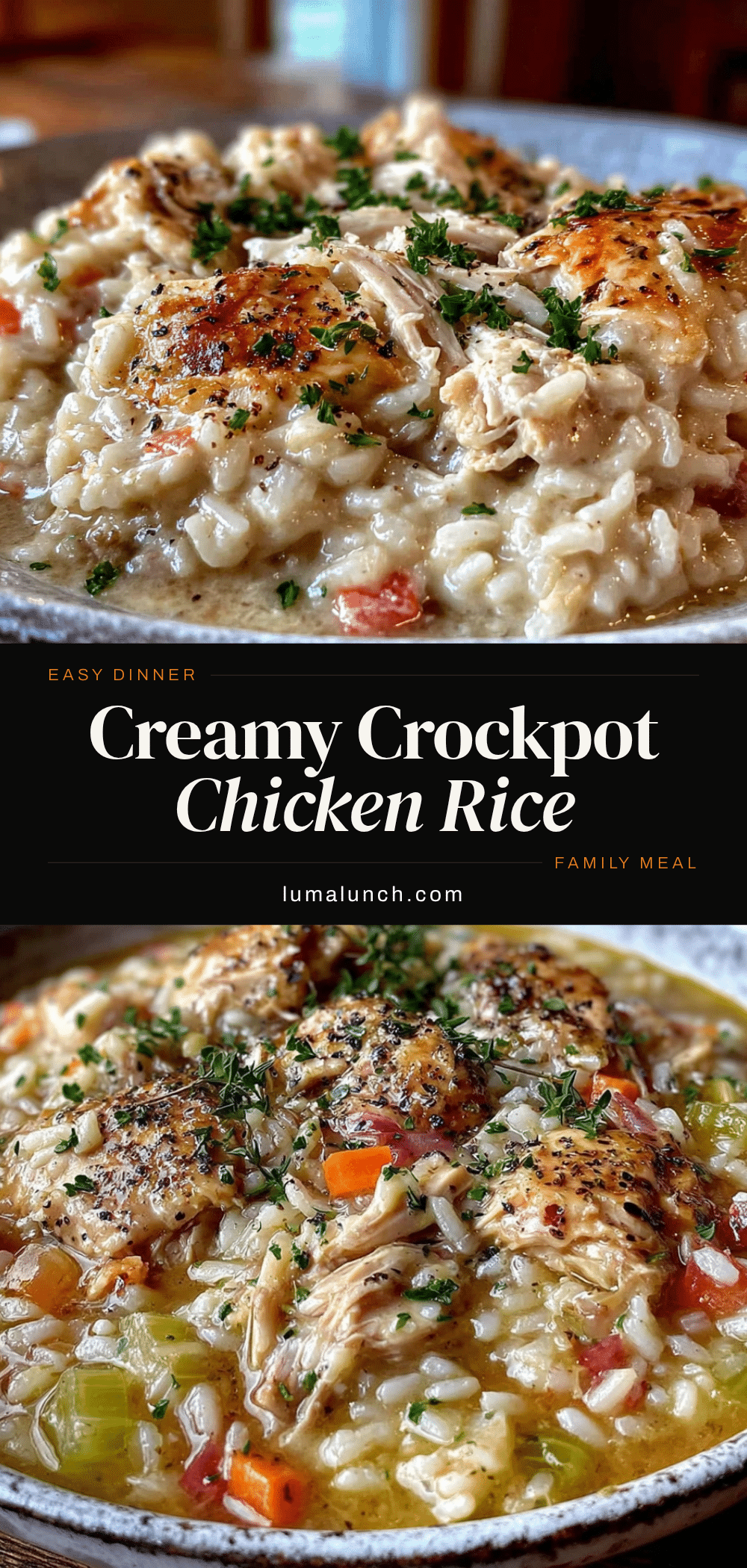 Easy Crockpot Chicken and Rice Recipe recipe