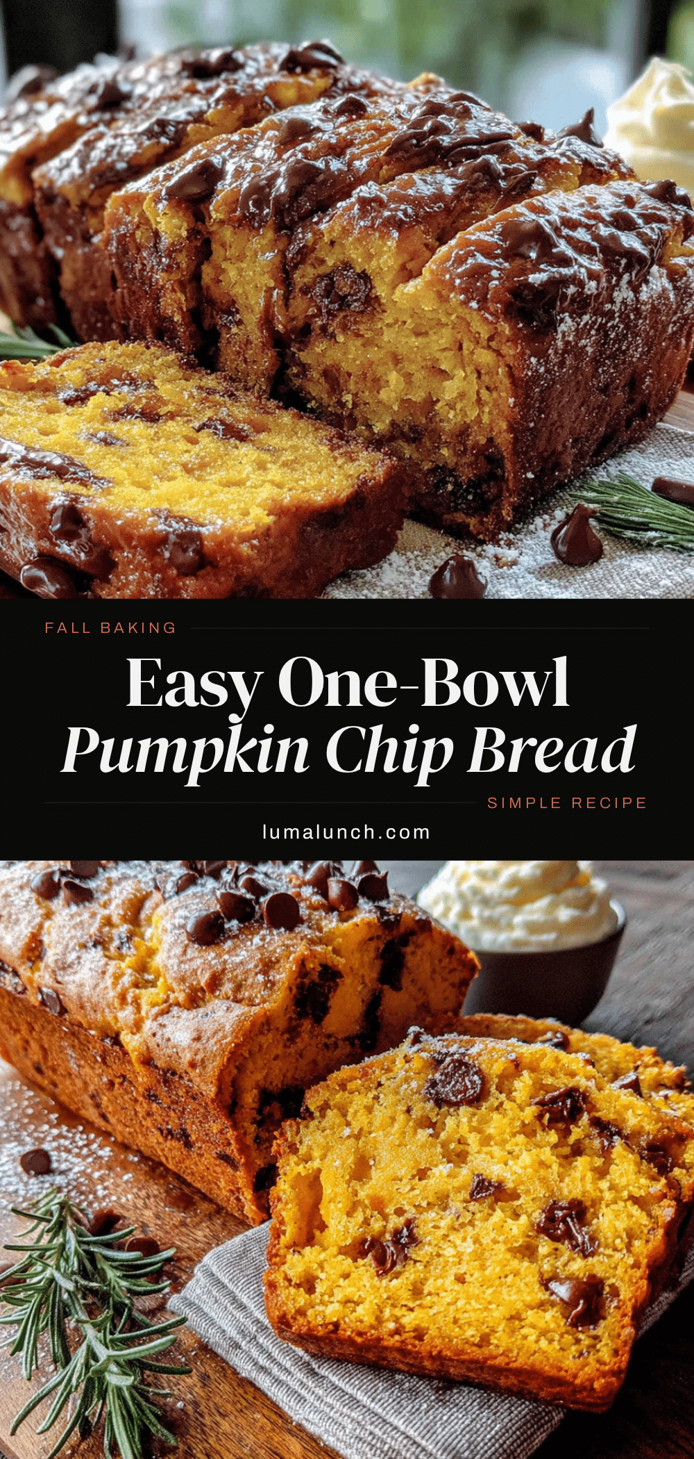 pumpkin chocolate chip bread recipe