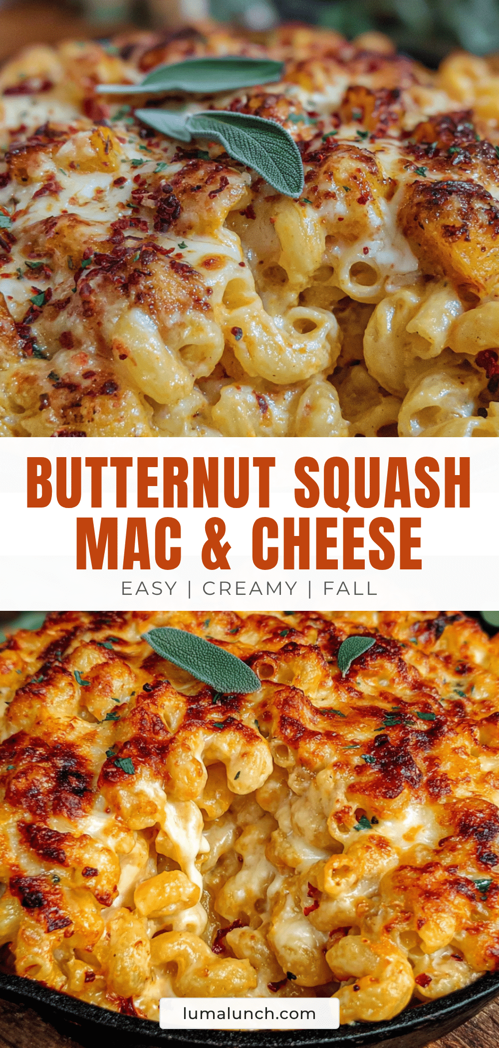 butternut squash mac and cheese recipe