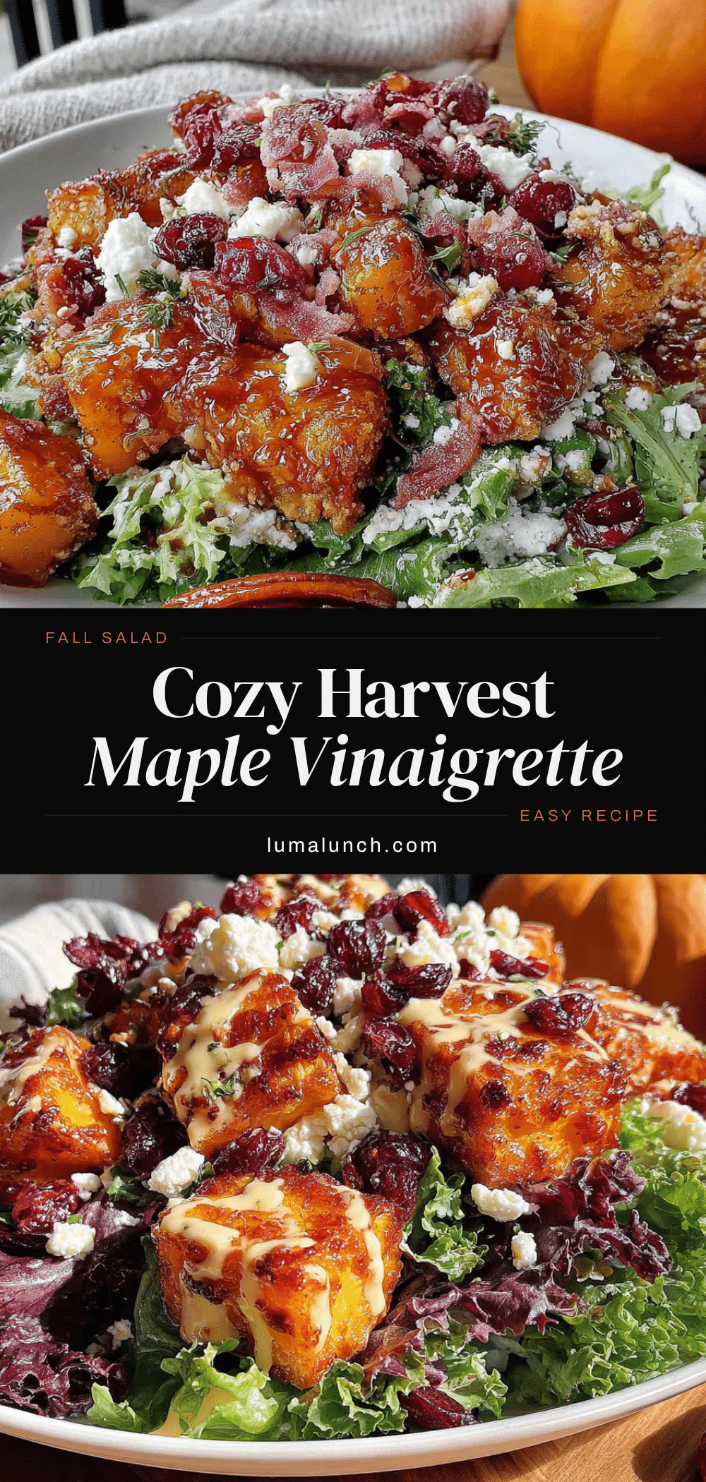 cozy harvest fall salad recipe
