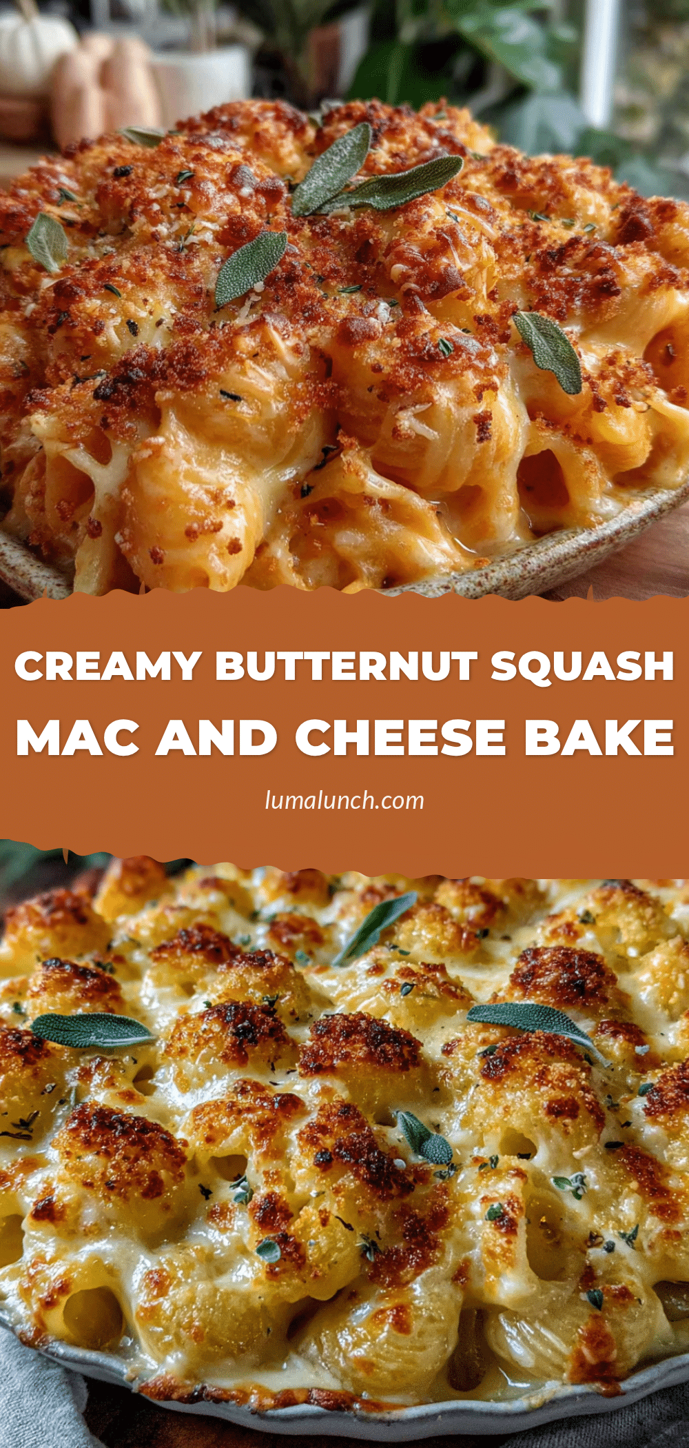 creamy butternut squash mac and cheese recipe