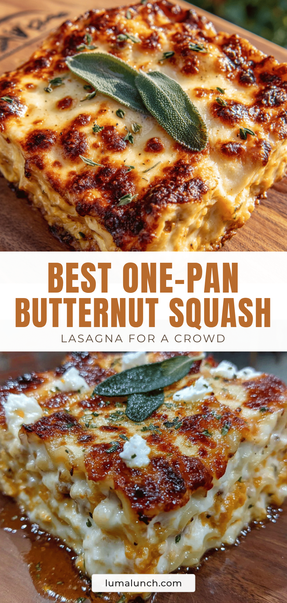 one-pan butternut squash lasagna recipe